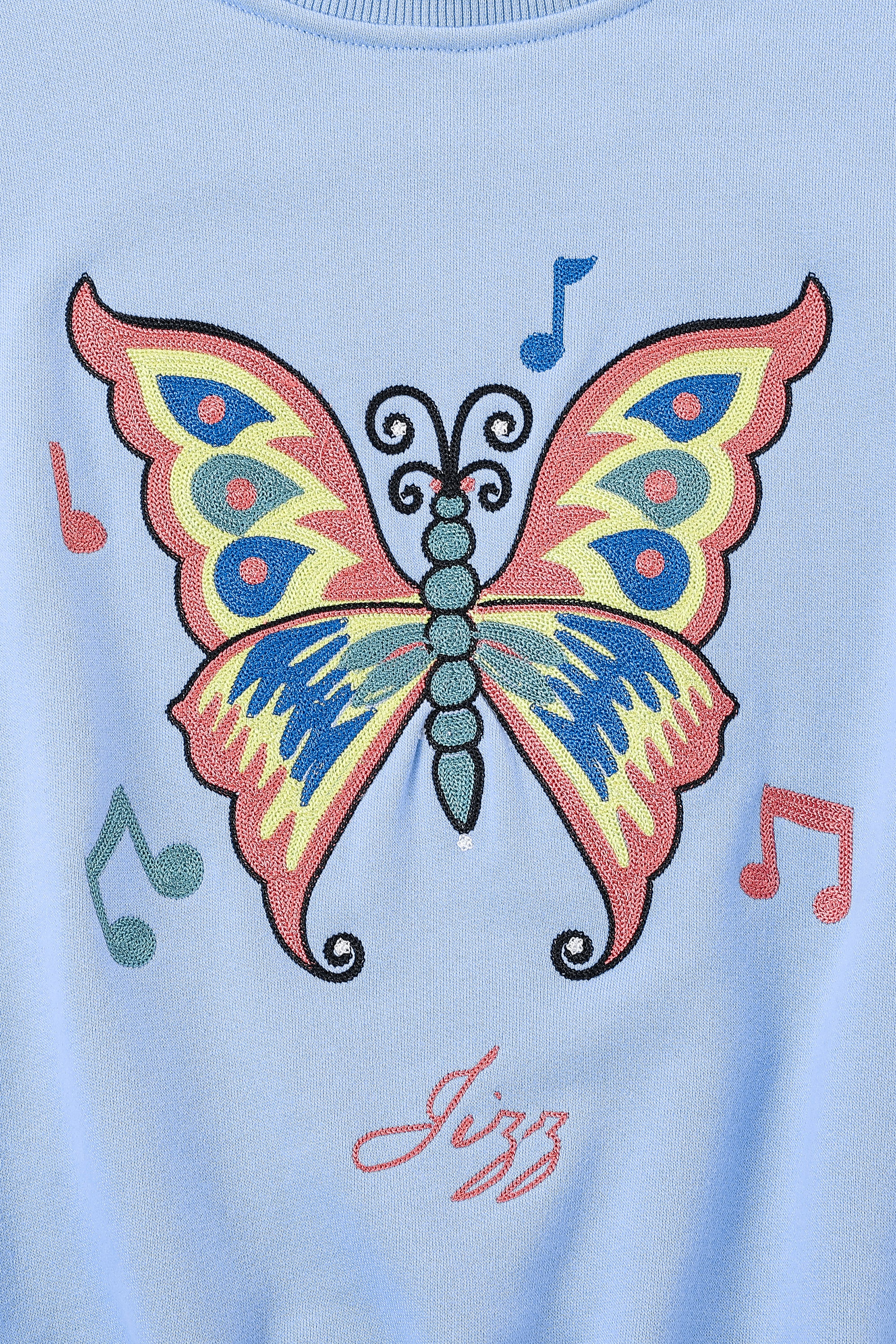 Embroidered discount butterfly sweatshirt