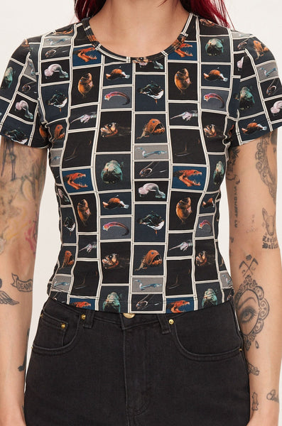 Cute Fish Stretchy T-Shirt – Fashion Brand Company